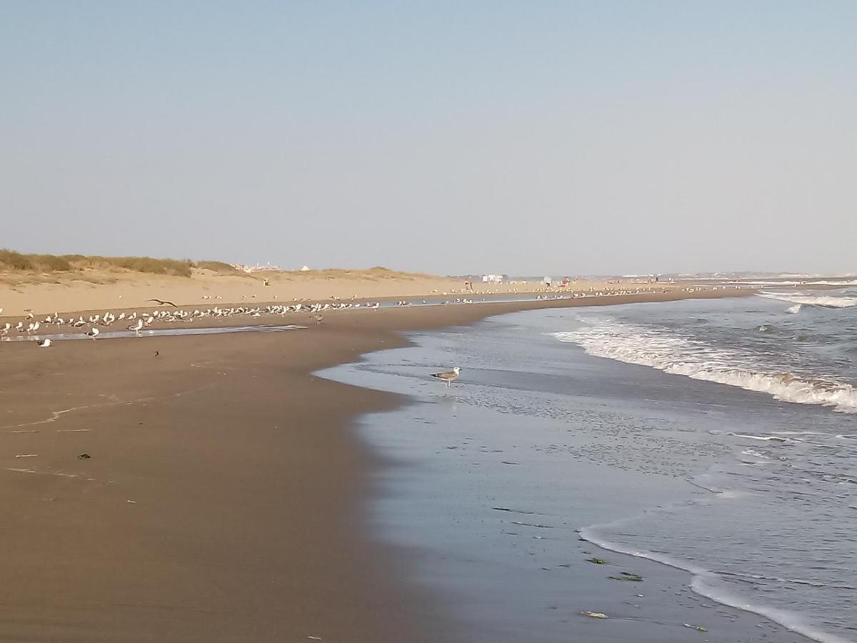 Los Pelicanos Ayamonte Luaran gambar